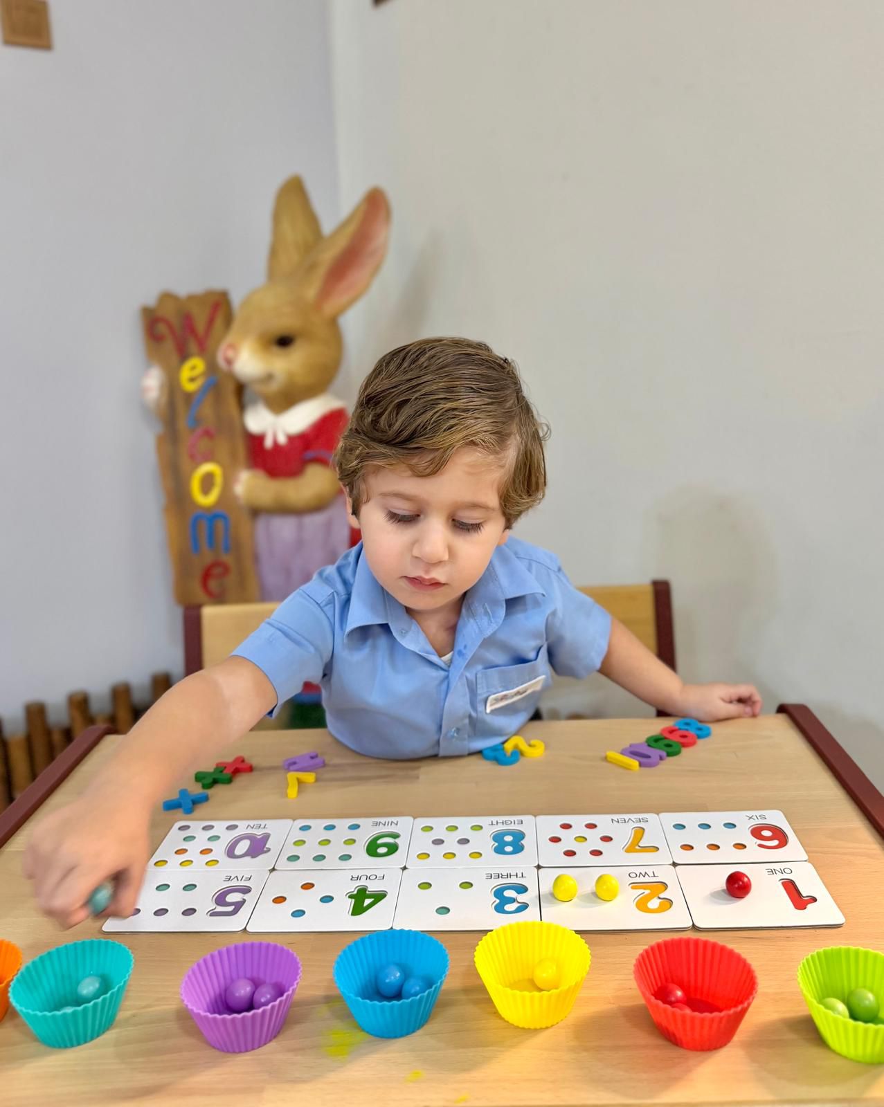 FAIRYTOPIA ALSEEF NURSERY