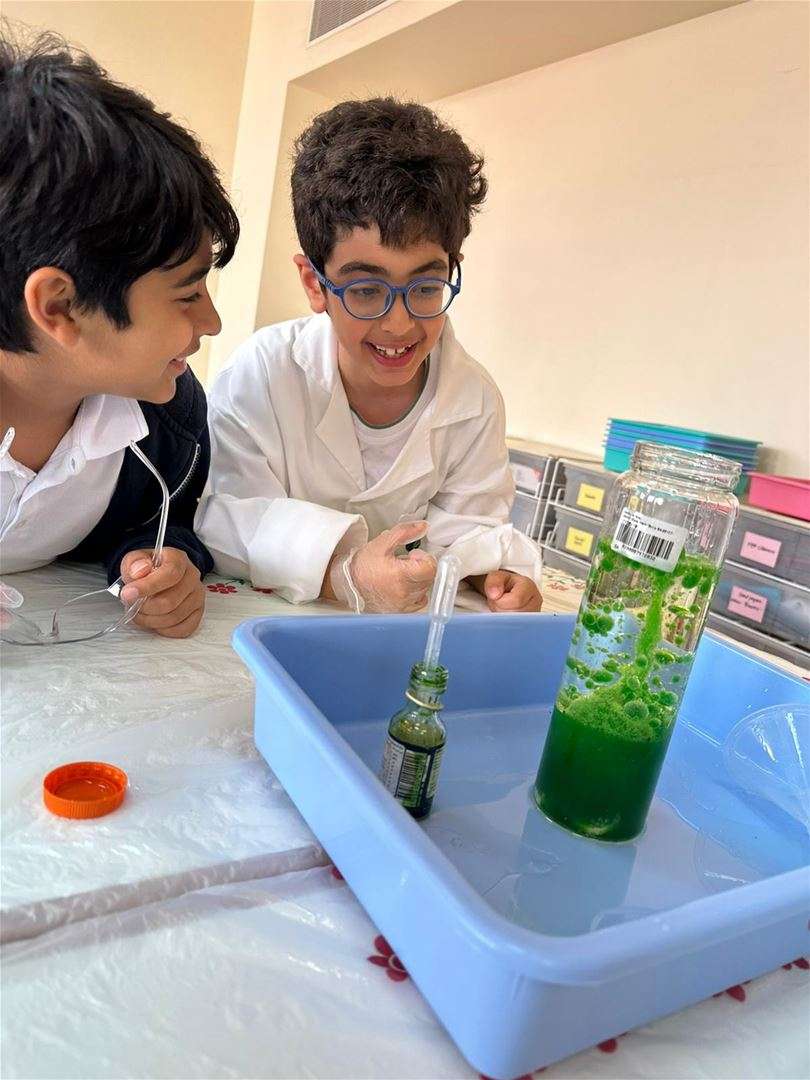 مدرسة الشويفات الدولية